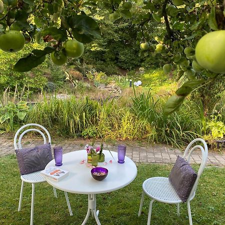 Ferienwohnung In Historischer Villa Mit Gartennutzung Furth im Wald Εξωτερικό φωτογραφία