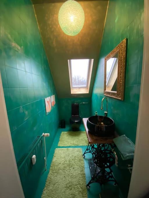 Ferienwohnung In Historischer Villa Mit Gartennutzung Furth im Wald Εξωτερικό φωτογραφία