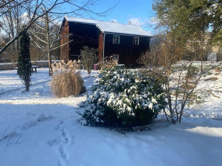 Ferienwohnung In Historischer Villa Mit Gartennutzung Furth im Wald Εξωτερικό φωτογραφία